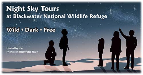 Night Sky Tours at Blackwater National Wildlife Refuge, hosted by the Friends of Blackwater, wild, dark and free