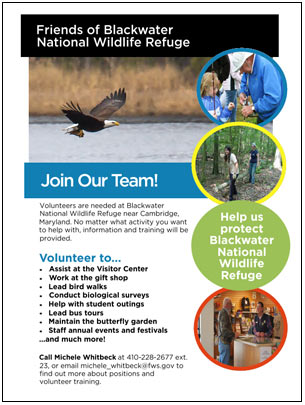 volunteer flyer